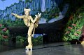 Lionking 0264
